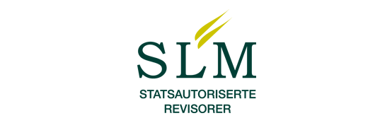 SLM revisjon