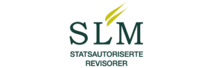 SLM logo