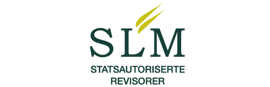 SLM logo